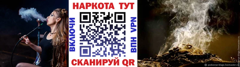 ТГК Холм