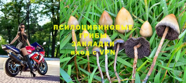 винт Балахна