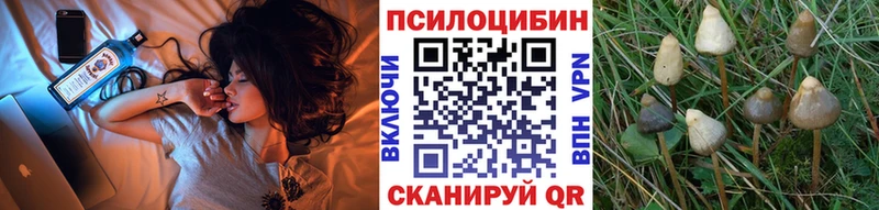 купить наркотики цена Холм Псилоцибиновые грибы MAGIC MUSHROOMS